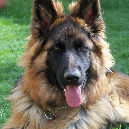 La Migrane Отель типа 