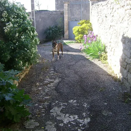 La Migrane Отель типа 