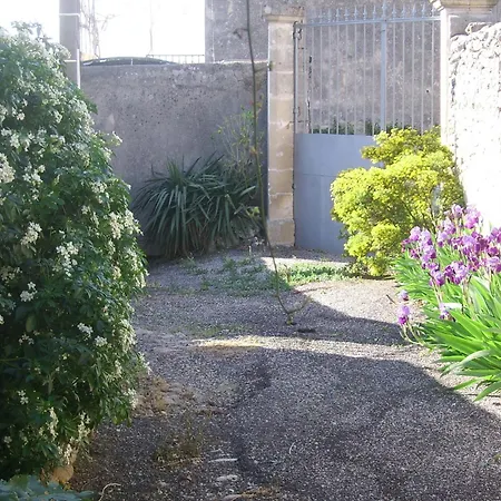 La Migrane Villevieille